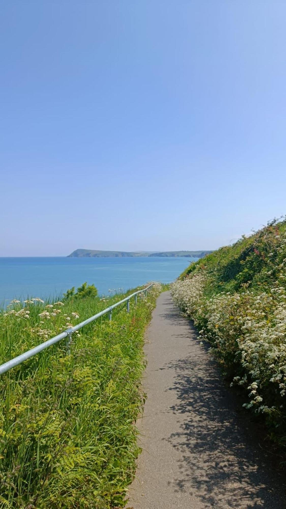 Rose And Crown Hotel & Hope And Anchor Bar Goodwick ภายนอก รูปภาพ