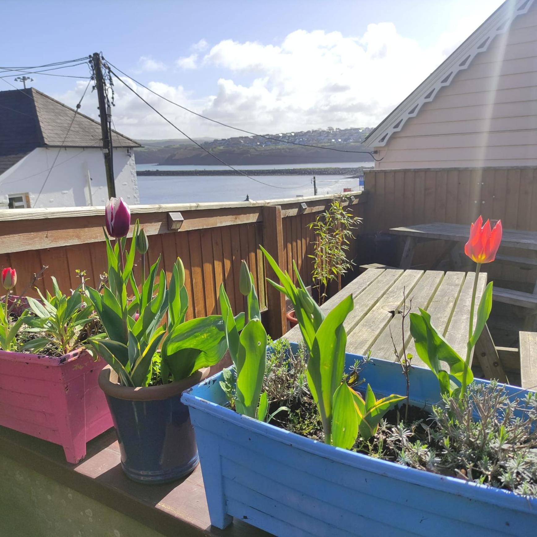 Rose And Crown Hotel & Hope And Anchor Bar Goodwick ภายนอก รูปภาพ